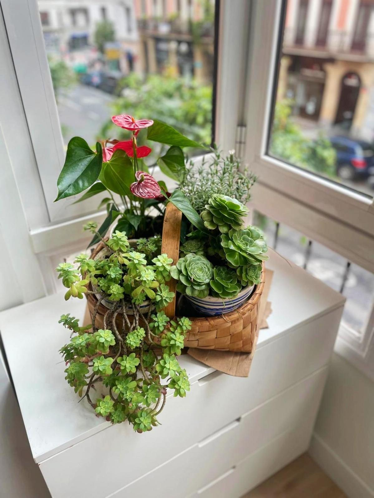 Appartement Loaina à Bilbao Extérieur photo